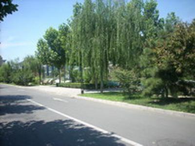 ����ˮ���Ǳ���С���̻�