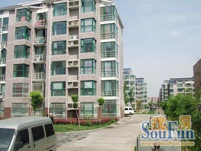 冠庭园3室1厅1卫东西朝向9000.00元/月出租
