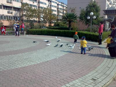 金阁花园配套图