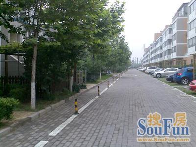 倚林佳园4室2厅2卫南北朝向20500.00元/月出租