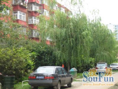 长虹小区2室1厅1卫南北朝向2500.00元/月出租