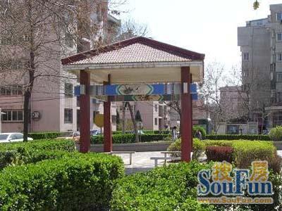 福怡苑一期3室1厅1卫南北朝向5600.00元/月出租