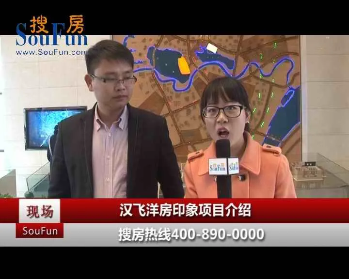 汉飞洋房印象项目介绍