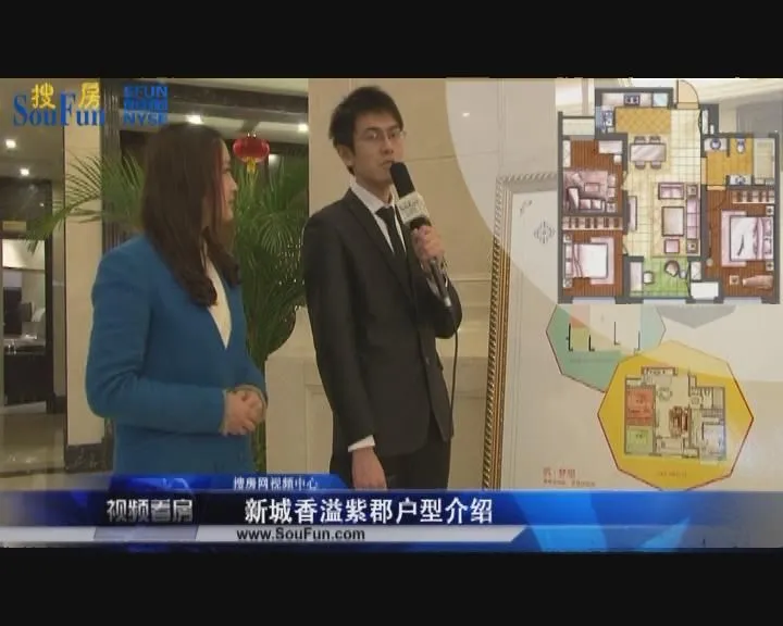 新城香溢紫郡 户型介绍