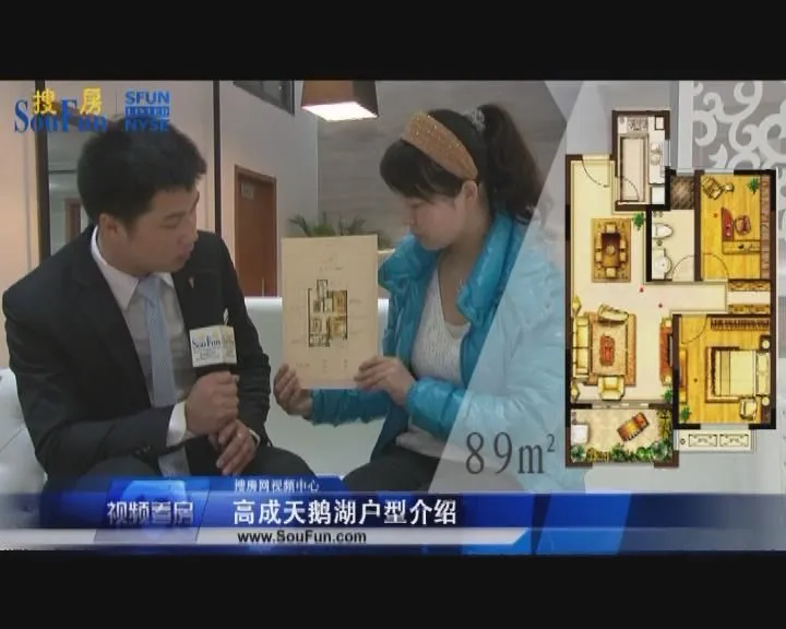 高成天鹅湖 户型介绍