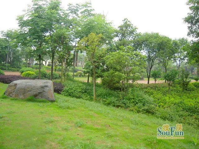 武汉清江山水园林实景介绍