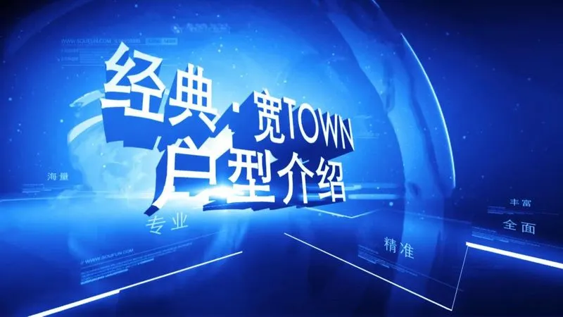 经典宽TOWN 户型介绍