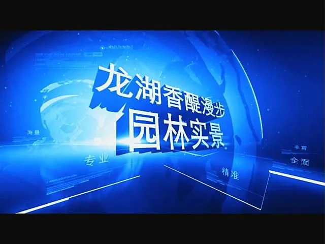 龙湖香醍漫步园林实景