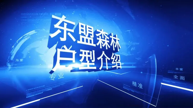 东盟森林户型介绍