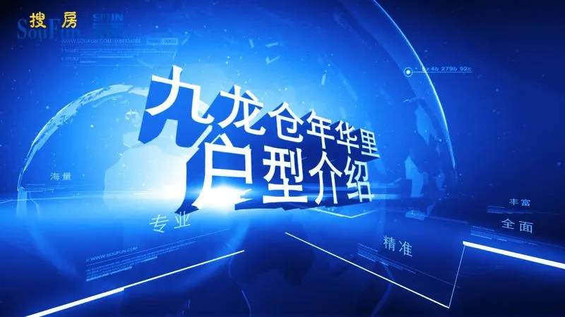 九龙仓年华里 户型介绍
