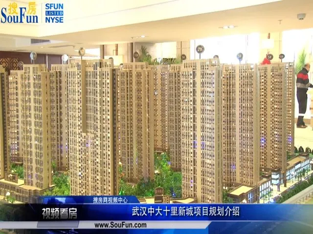 武汉中大十里新城项目规划介绍