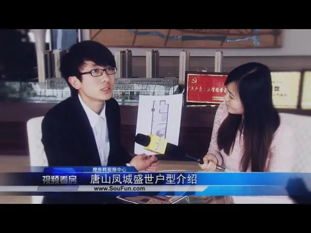 唐山凤城盛世户型介绍