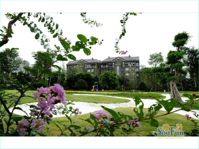 重庆渝高香洲园林实景