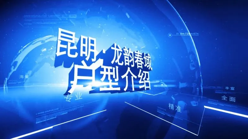 龙韵春域 户型介绍