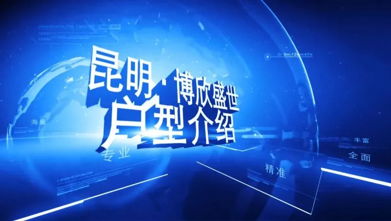 博欣盛世 户型介绍