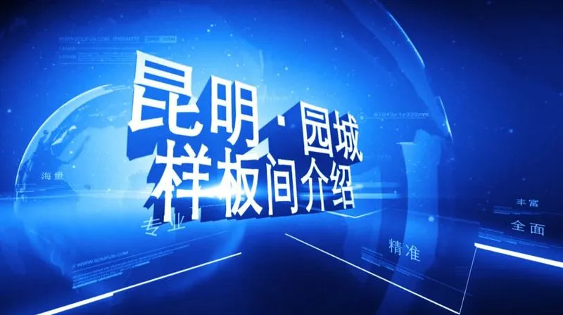 园城 样板间介绍