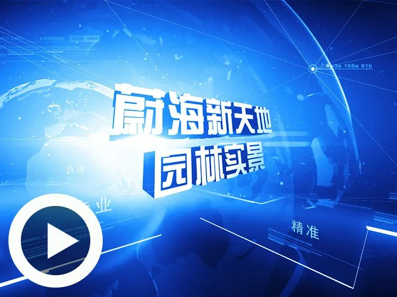 威海蔚海新天地园林景观