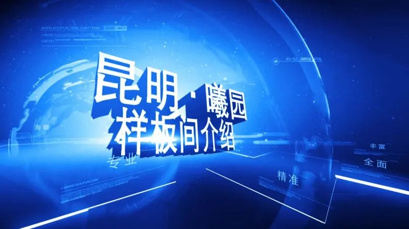 曦园 样板间介绍