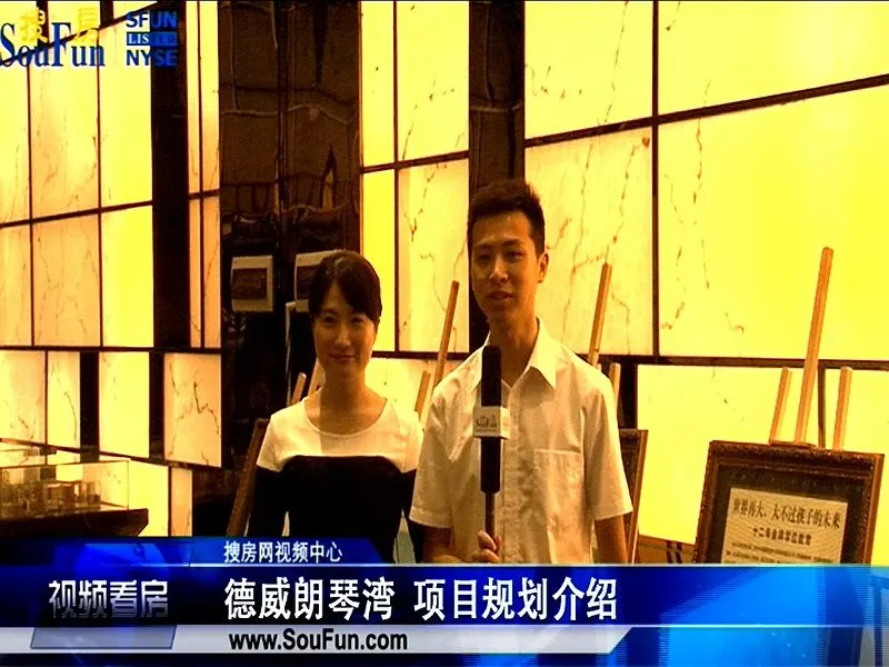德威朗琴湾项目规划介绍