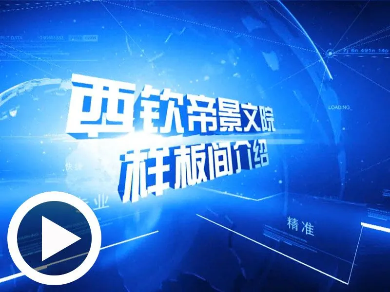 威海西钦帝景文院样板间介绍