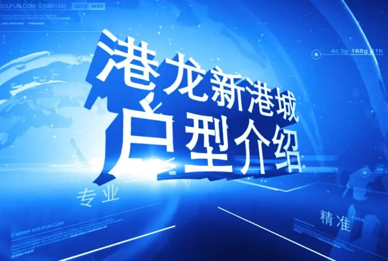 港龙新港城 户型介绍