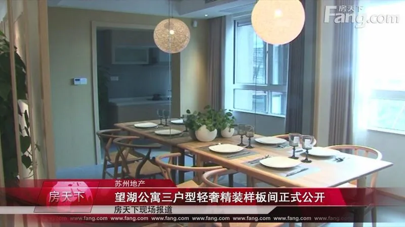 望湖公寓三户型轻奢精装样板间正式公开