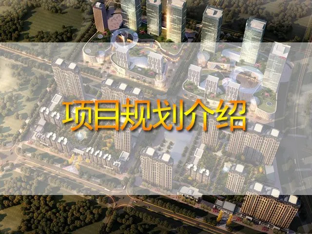 东安瑞凯国际项目规划介绍