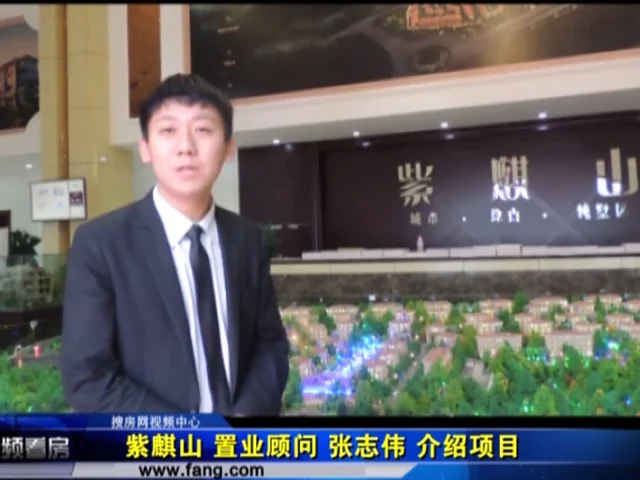 紫麒山 置业顾问周志伟介绍项目