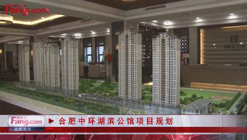 合肥中环湖滨公馆项目简介