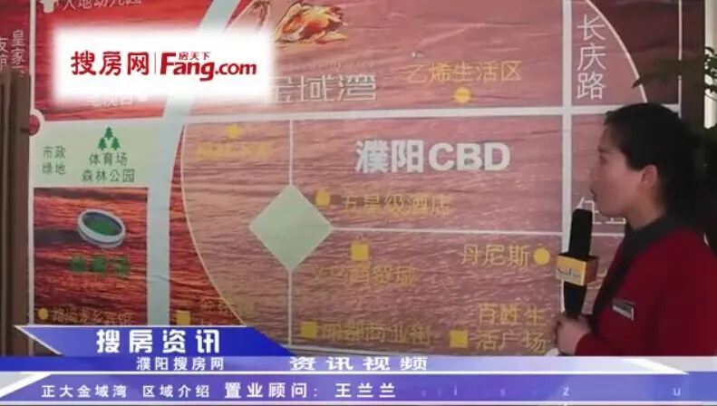 正大金域湾视频看房