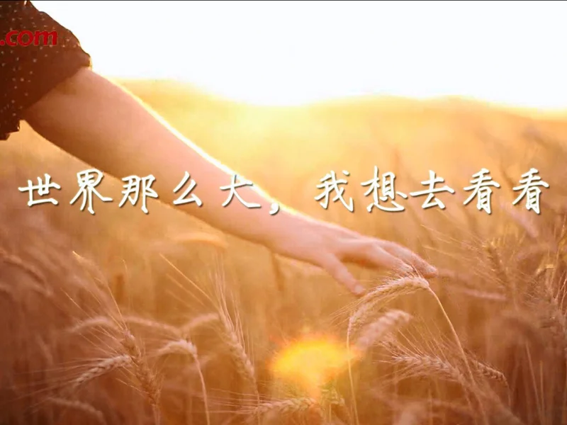 《今日调查》第九期：“世界那么大，我想去看看”