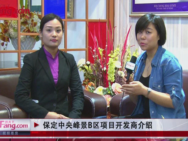 保定中央峰景B区项目开发商介绍
