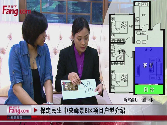 保定民生中央峰景B区户型介绍