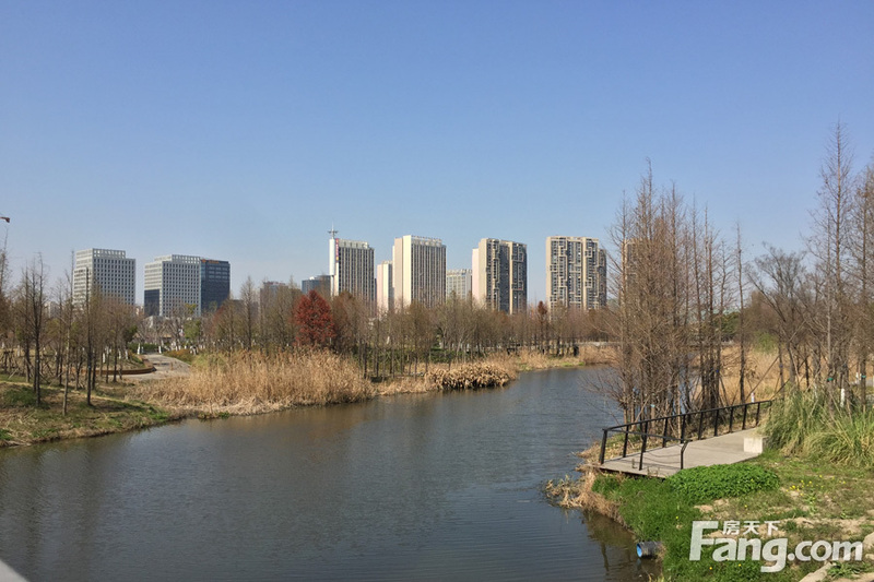 上海合景理想家园林景观介绍