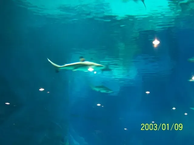 发几张昨天<em>照片</em>因为前段<em>时间</em>给老婆在那里过了