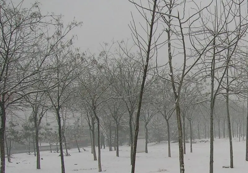 xue+_牛奶佳钙的相册_搜房相册