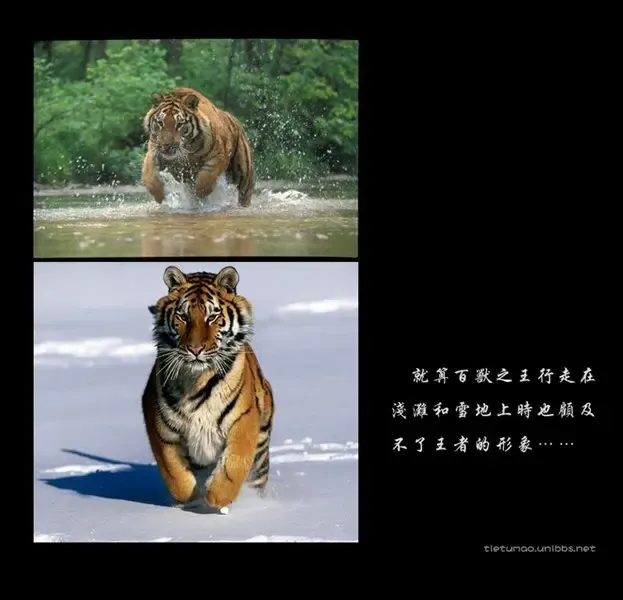 ����鿴��һ��: ee62daa9ebfb61f01f17a276