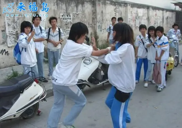 初中<em>女生街头打架</em>!现在的孩子都怎么啦?-富力