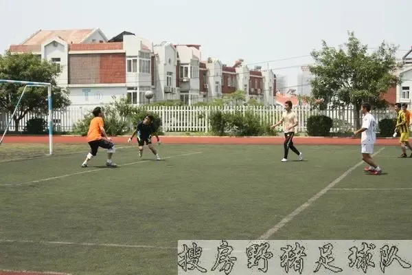 ����鿴��һ��: IMG_6200