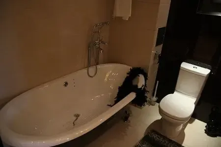 �������´������ͼƬ