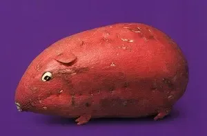 �������´������ͼƬ