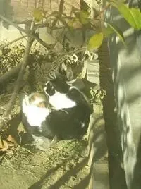 �������´������ͼƬ