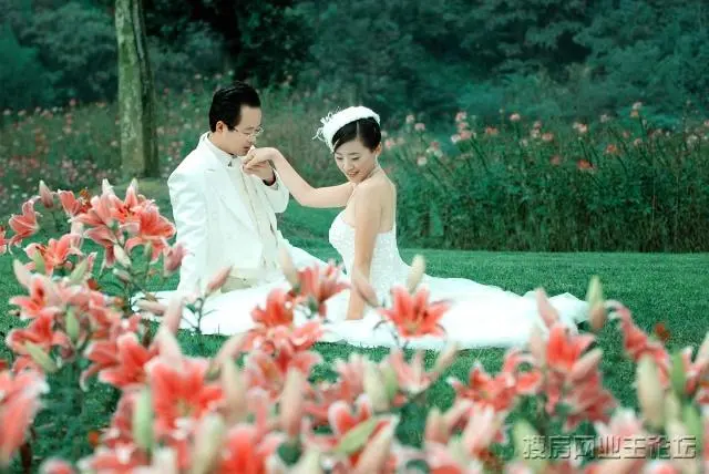 石象湖婚纱_婚纱图片唯美(2)