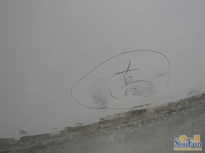 照片042_逍遥自在的龙的相册