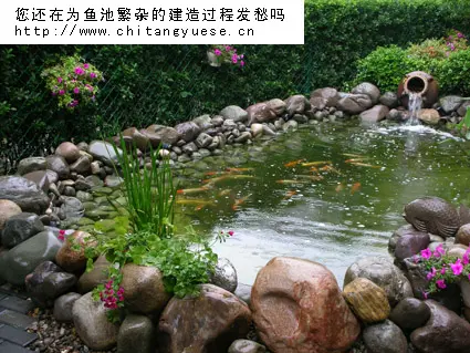 北京池塘月色庭院设计工程有限公司1图片