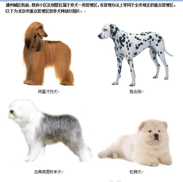《北京重点管理区禁养犬标准》