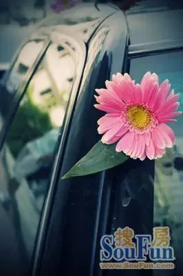 <em>结婚</em>有感,<em>写给姐妹</em>们<em>的话</em>-冰城新娘业主论坛-哈