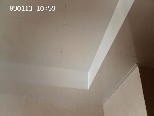 1269065375714_000.jpg