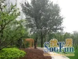 天时名苑500人超大群已建立请大家加入吧。-天