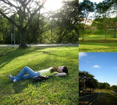 读书,许多的期待就化为在阳光洒满的草坪上看书或者休憩 .